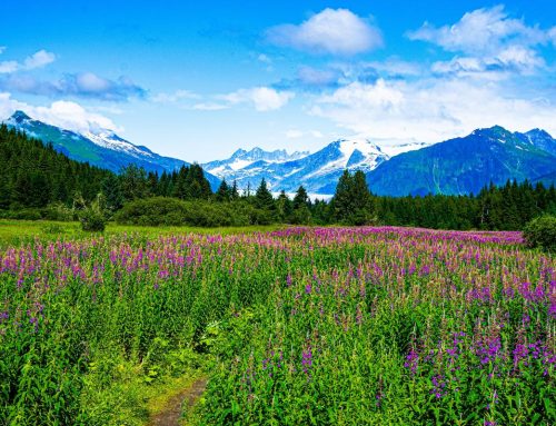 Top Things to Pack for an Alaska Cruise Adventure