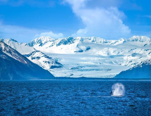 The Living Ice: Understanding the Glaciers of Prince William Sound
