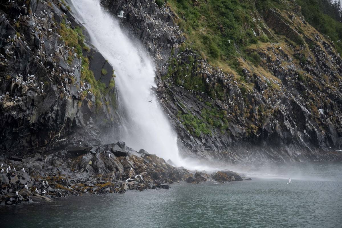 Waterfall at the Kittiwake Bird Rookery in Passage Canal, Prince William Sound