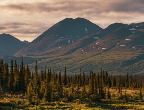 Which Glacier Experience Fits Your Travel Style?