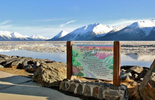 16236845493 51edd961d3 b