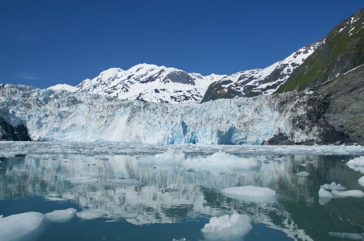 Photo Gallery - Phillips Cruises Alaska Glacier Tours Whittier Prince ...